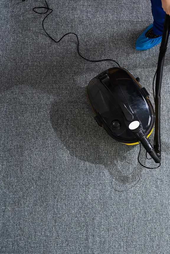 Carpet before cleaning
