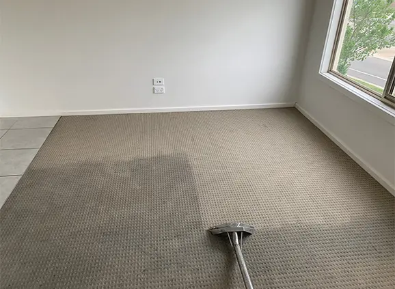 Berber carpet soil versus cleaned path — Duval Floor Care