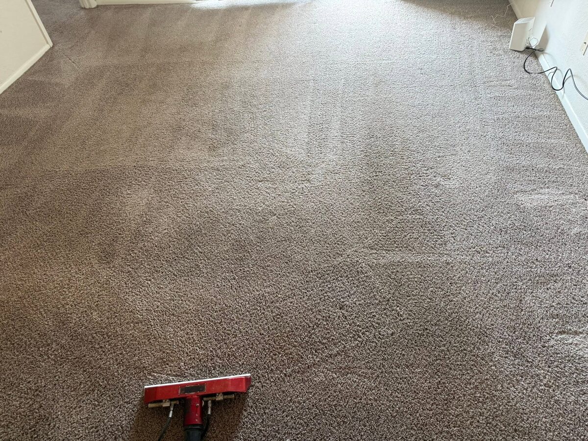 Freshly cleaned carpet with wand from a Duval Floor Care Facebook job photo