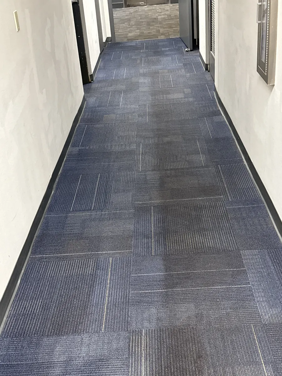 Office hallway carpet during a VLM maintenance clean